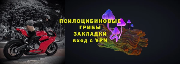 ГАЛЛЮЦИНОГЕННЫЕ ГРИБЫ Богородск