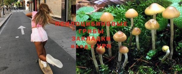 метадон Тында