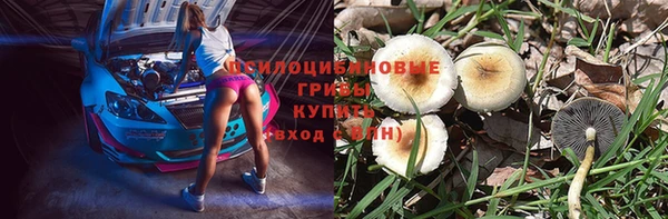 метамфетамин Богородицк