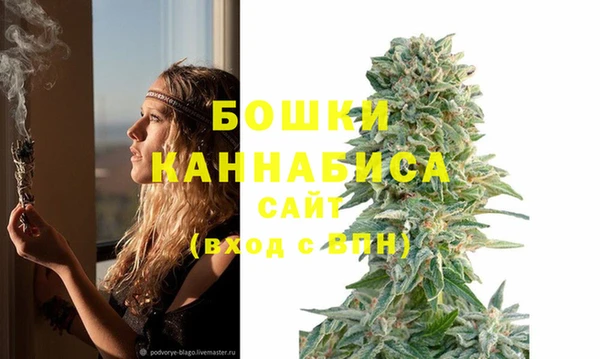 ГАЛЛЮЦИНОГЕННЫЕ ГРИБЫ Богородск